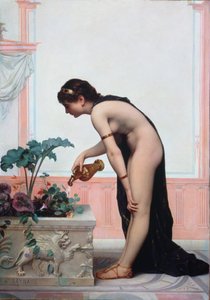 Regando el jardín